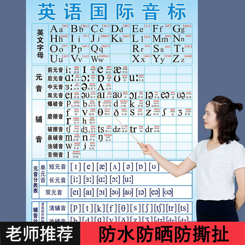48个国际音标无声书英语挂图