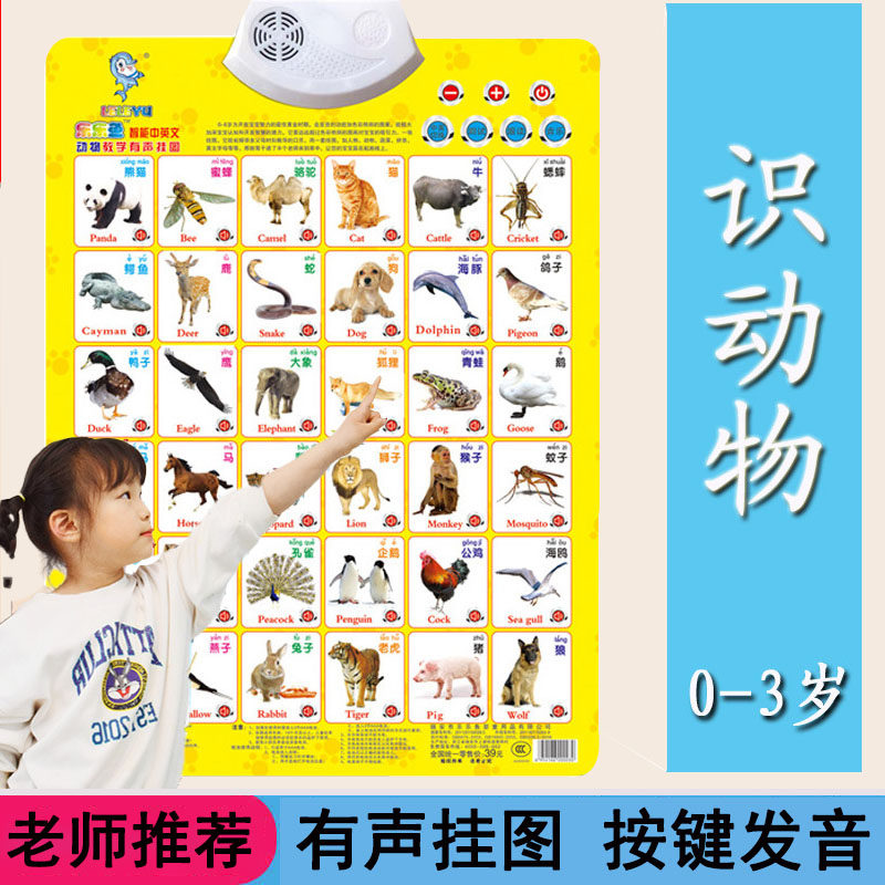 0-3-6岁宝宝早教认识有声挂图