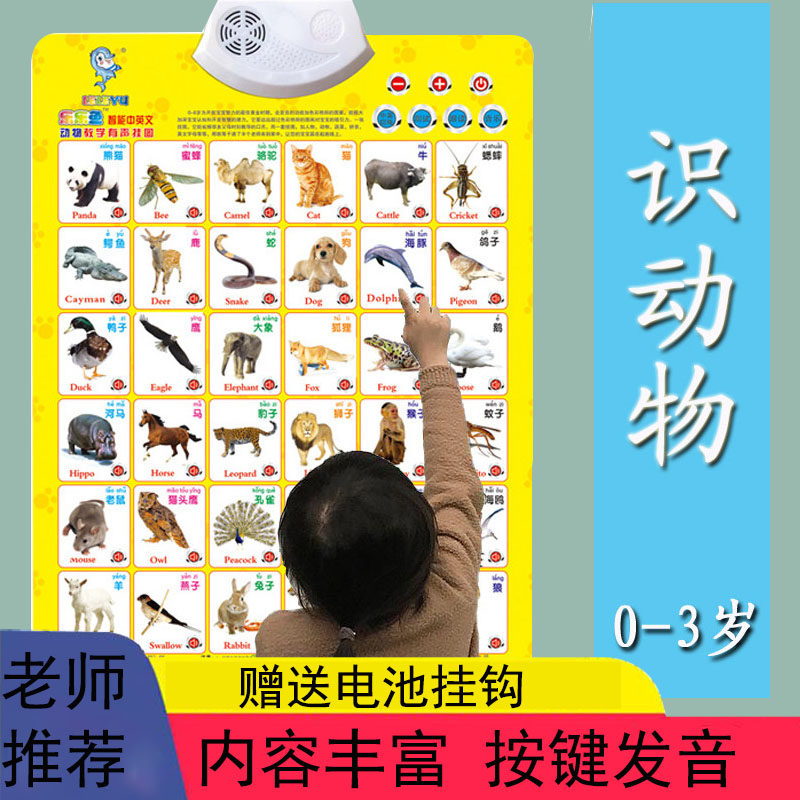 婴幼儿识字挂画有声宝宝认知卡