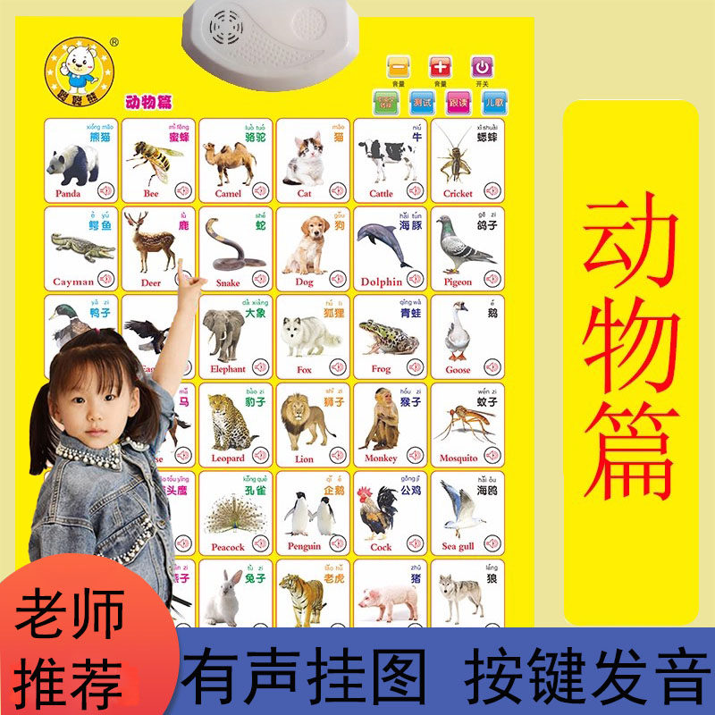 宝宝认知启蒙有声挂图儿