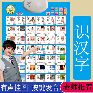 宝宝早教点读有声挂图认识汉字幼儿看图识字启蒙数字拼音
