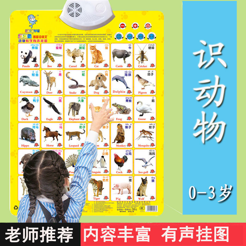 儿童早教启蒙有声挂图认知卡