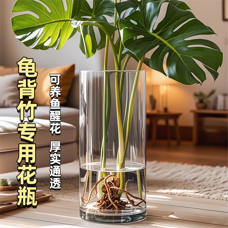 大号龟背竹专用透明加厚玻璃花瓶图片