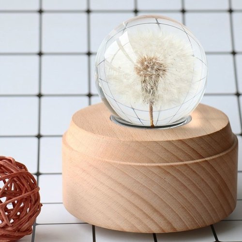 蒲公英标本水晶球音乐盒八音盒女生闺蜜生日礼物教师节礼物送老师