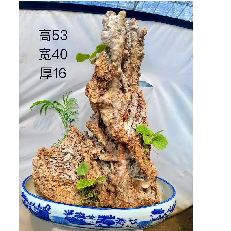 纯天然吸水石盆景鱼缸造