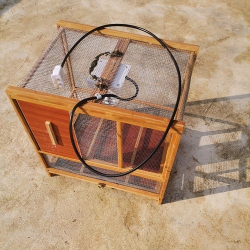 蚂蚱丁蜢昆虫养殖笼 上漆款 防咬 耐用 纯手工 不锈钢丝网