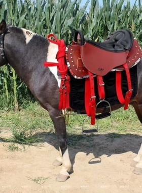 特价纯皮牛皮马鞍整套全套配件新款游客促销马鞍子马具骑马发货
