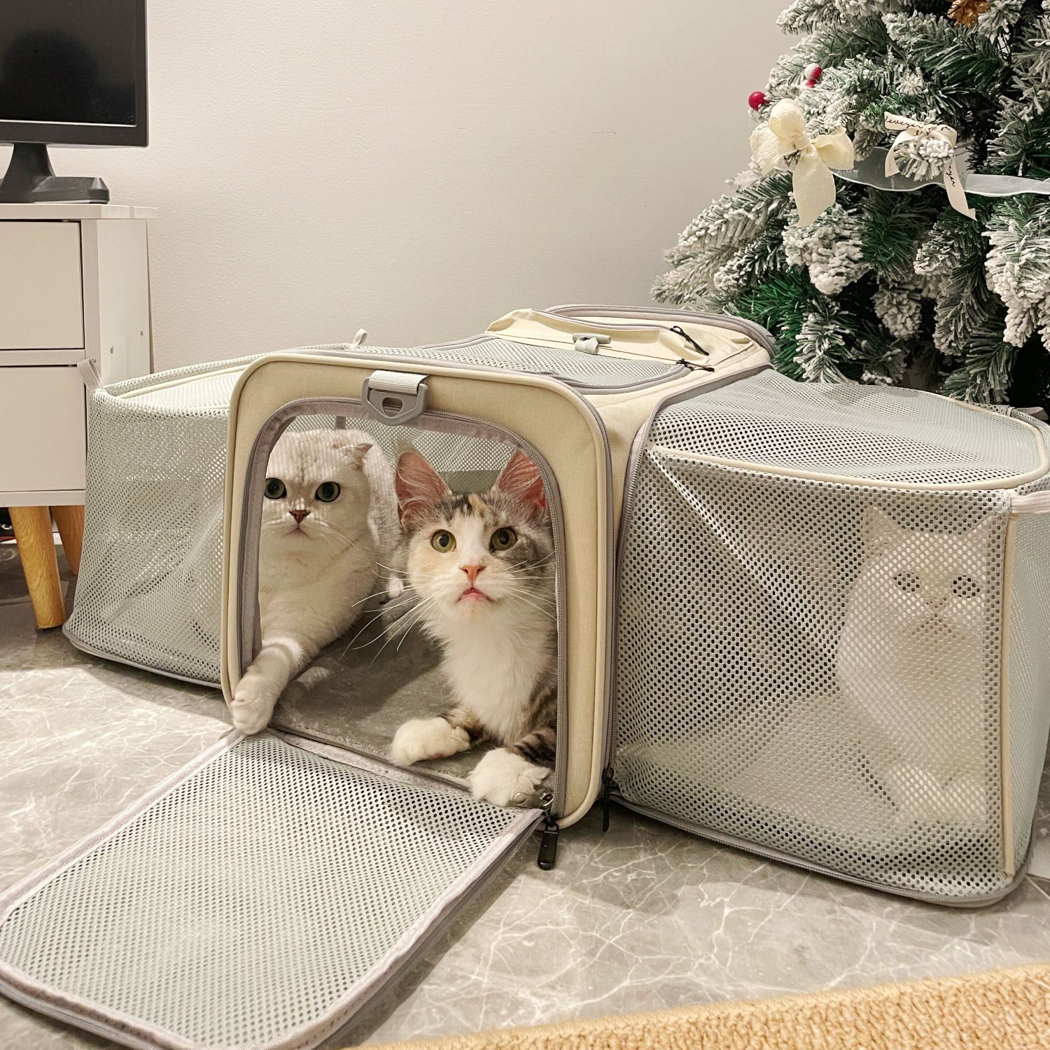 大号猫包双向扩展装两只