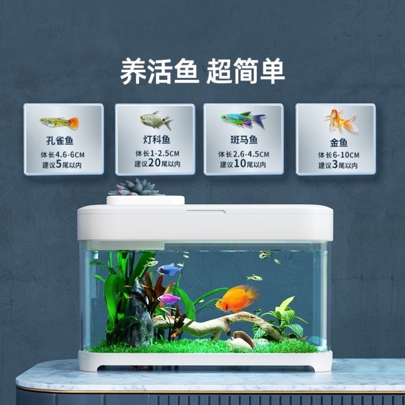 懒人鱼缸免换水家用桌面生态客厅小型自循环2024新款办公桌小鱼缸