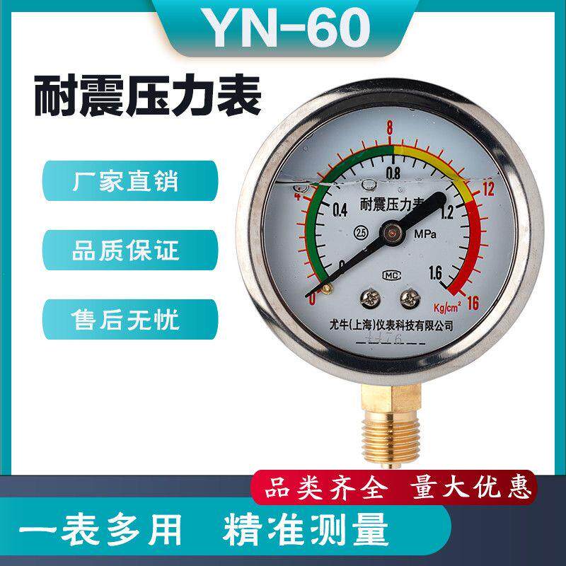 YN60耐震压力表空压机储