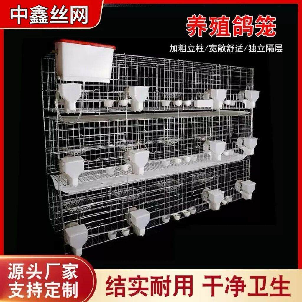 鸽子笼家用繁殖笼养专用