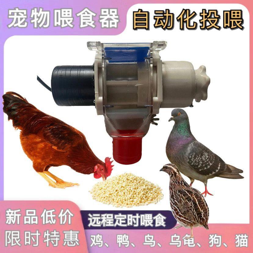 家禽投料机鸡鸭鸽子鹅乌