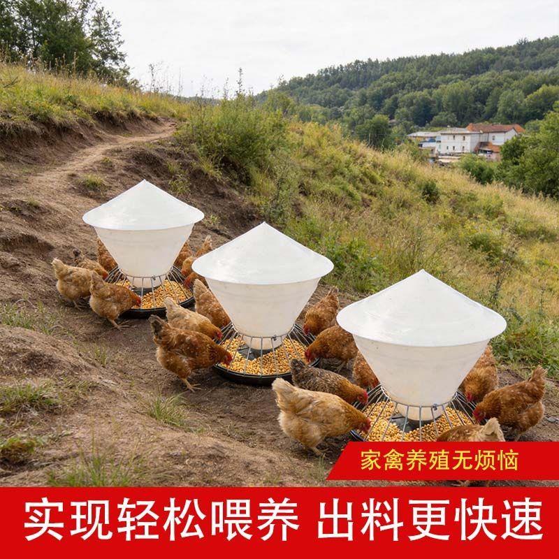 鸡鸭鹅自动喂食槽新款料