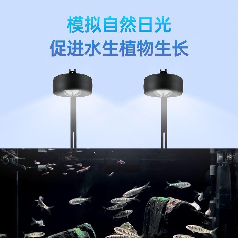 新款鱼缸筒灯led灯防水水