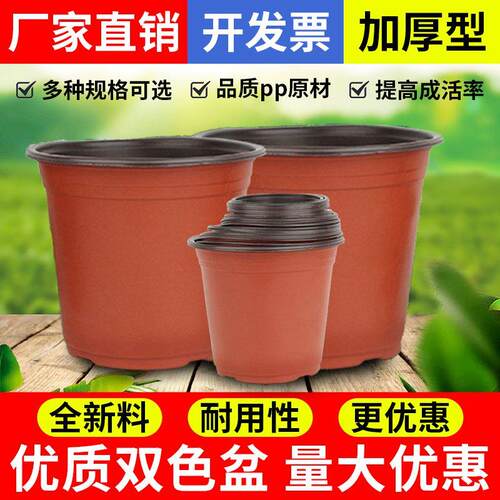 双色育苗盆塑料花盆扦插