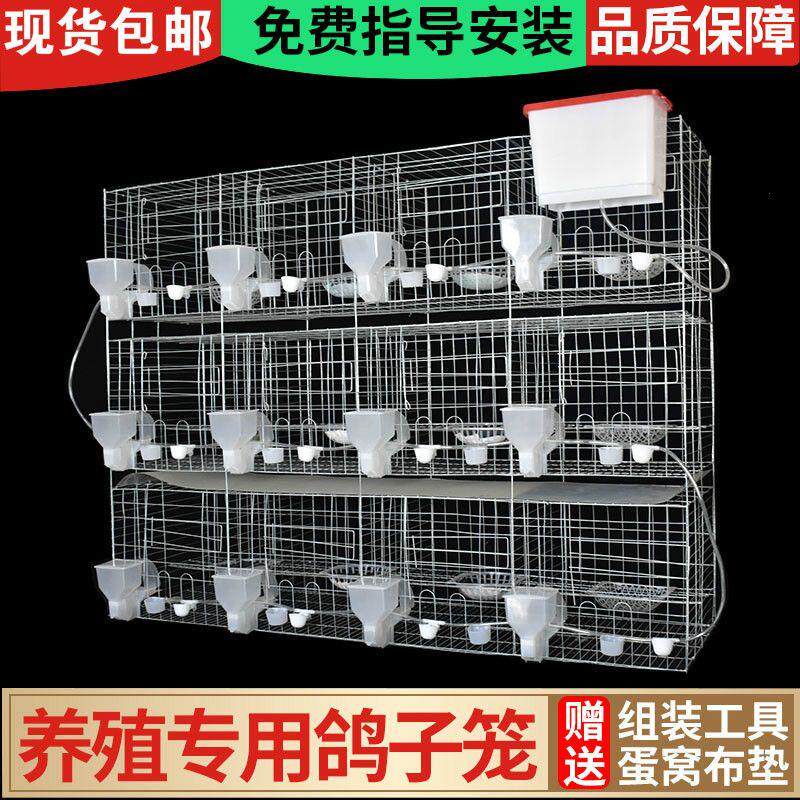 包邮鸽子笼家用用品12位