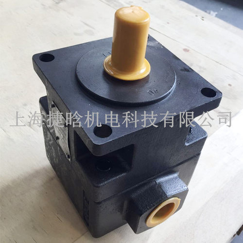 供应YB-D63油泵 中高压叶片泵 机床用液压泵