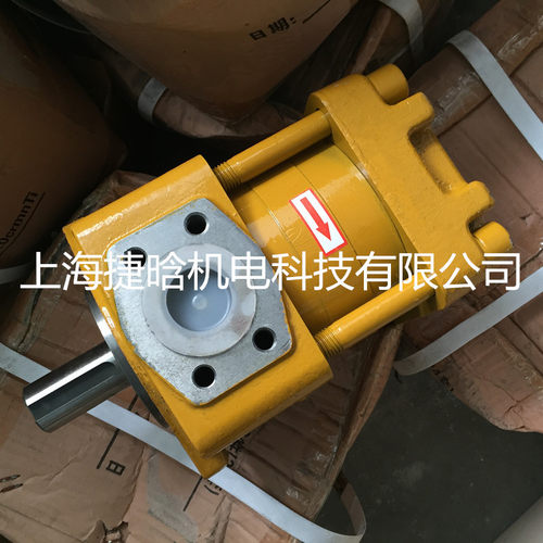 NT2-D12F直线共轭内啮合油泵