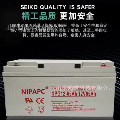 NIPAPC蓄电池NPG12-12AH12V12AH应急照明配电柜光伏发电
