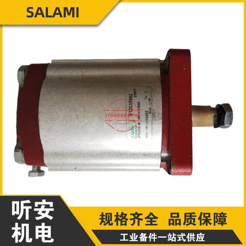 萨拉米SALAMI齿轮泵2PE26D-G28P1-V-VS40 2PE65D-G28P1-V-VS40