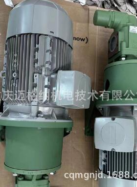 施特梅尔SF2/13R齿轮泵德国STEIMEL