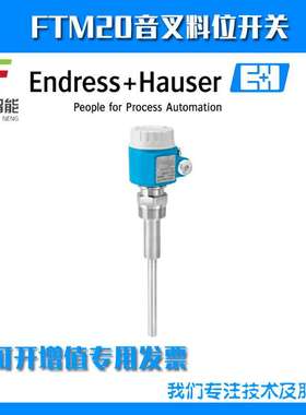 德国E+H恩德斯豪斯FTM20-AA22A一体化音叉开关