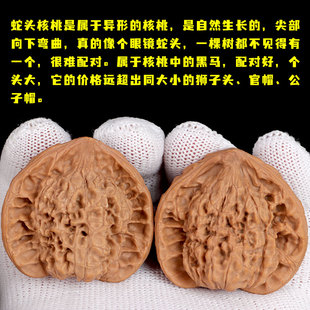 速发文玩核桃天然异形蛇头半壁鹰嘴王勇麒麟纹官帽小众手盘把件聚