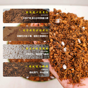 兰花通用型有机土壤建兰国兰专用土寒兰植料花卉营养土盆栽种植土
