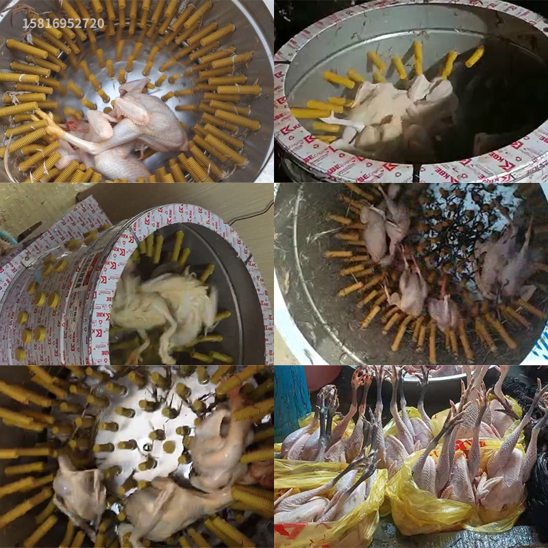 60型65型三鸟脱毛机涡轮型齿轮鸡鸭鹅商用家禽脱毛机除毛杀鸡打毛