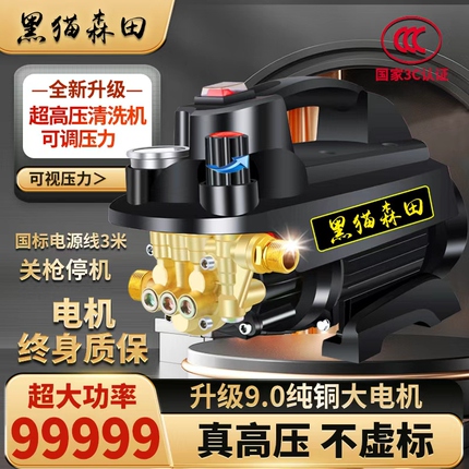 Black Cat Car Wash Master Home Use 220V High Power Water Gun Cleaning Machine Portable Handheld High Pressure Car Wash Machine