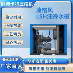 LSH油冷永磁变频7.5 空压机厂家现货 90KW空压机螺杆式