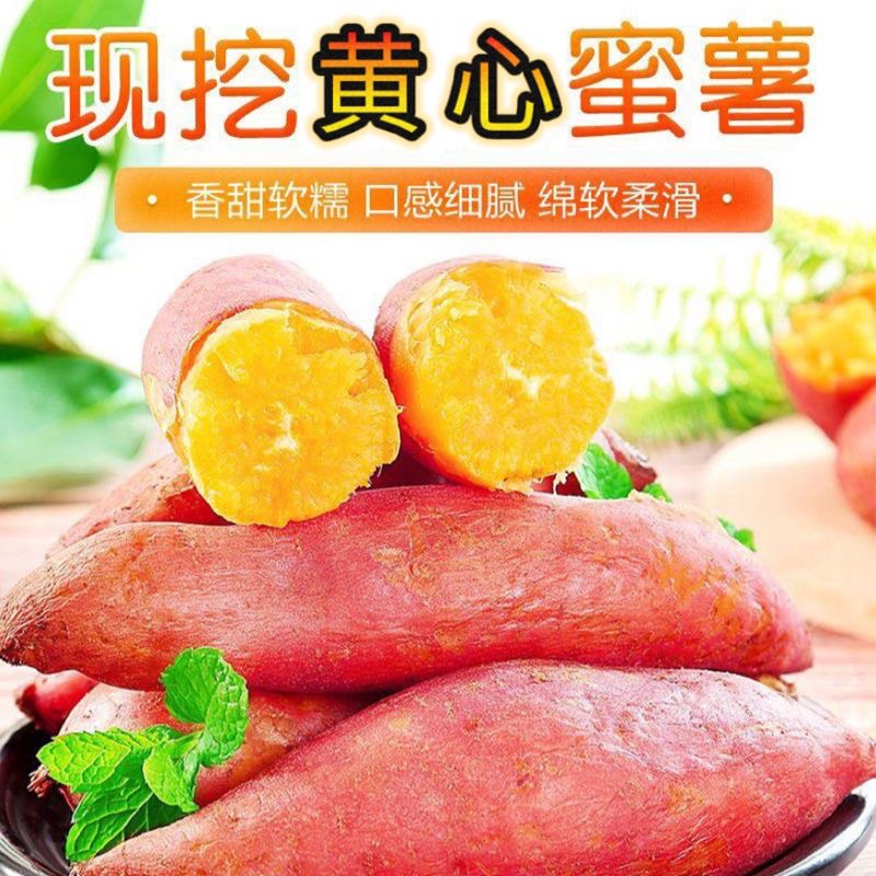 红薯农家沙地黄心地瓜