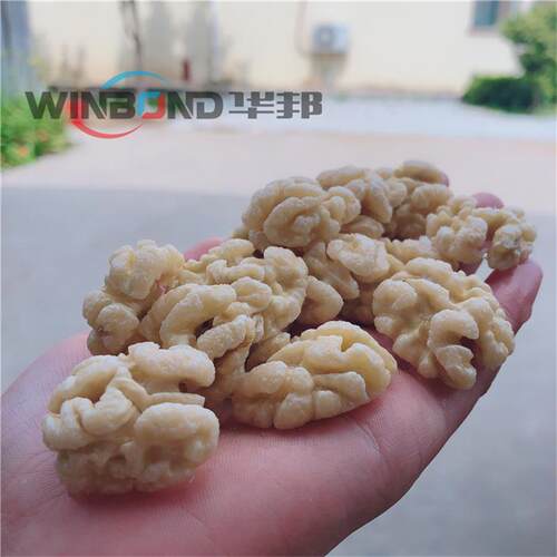 脱不皮疆机 新核桃仁脱皮机 华邦TLQ机械钢锈核桃仁去皮机