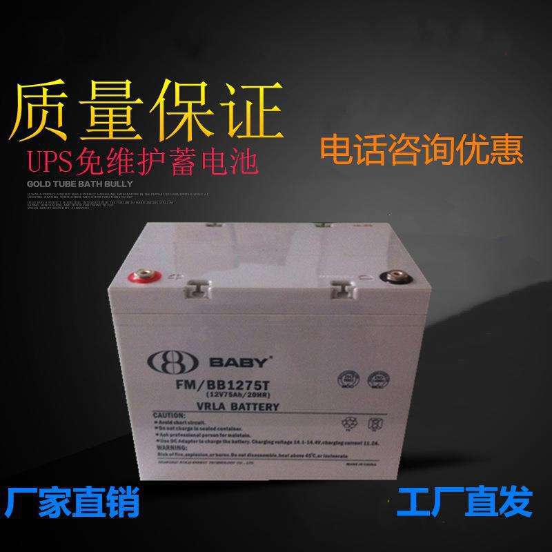 鸿贝铅酸蓄电池12v65ah 蓄电池FM/BB1265T 太阳能路灯UPS电源
