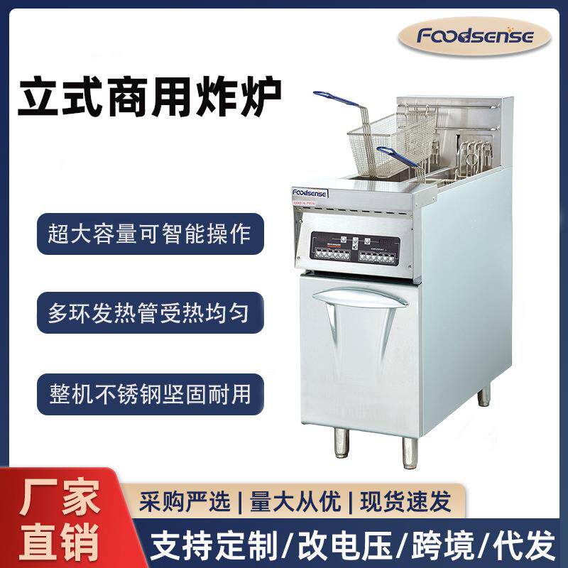 商用立式电炸炉油炸锅双缸电脑版大容量数显控温连锁鸡排锅炸薯条