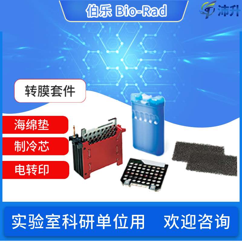 Bio-Rad 伯乐转膜套件 Mini-trans-blot Module 1703935实验仪器