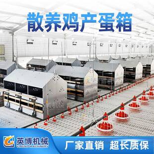 母鸡产蛋箱大容量下蛋分离器蛋窝家禽种鸡下蛋防草垫