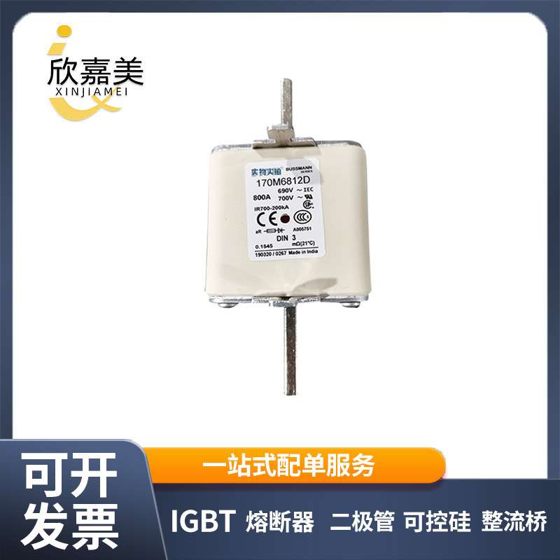 170M6812D  170M6813 快速熔断器  保险丝 电子元器件 量大价优