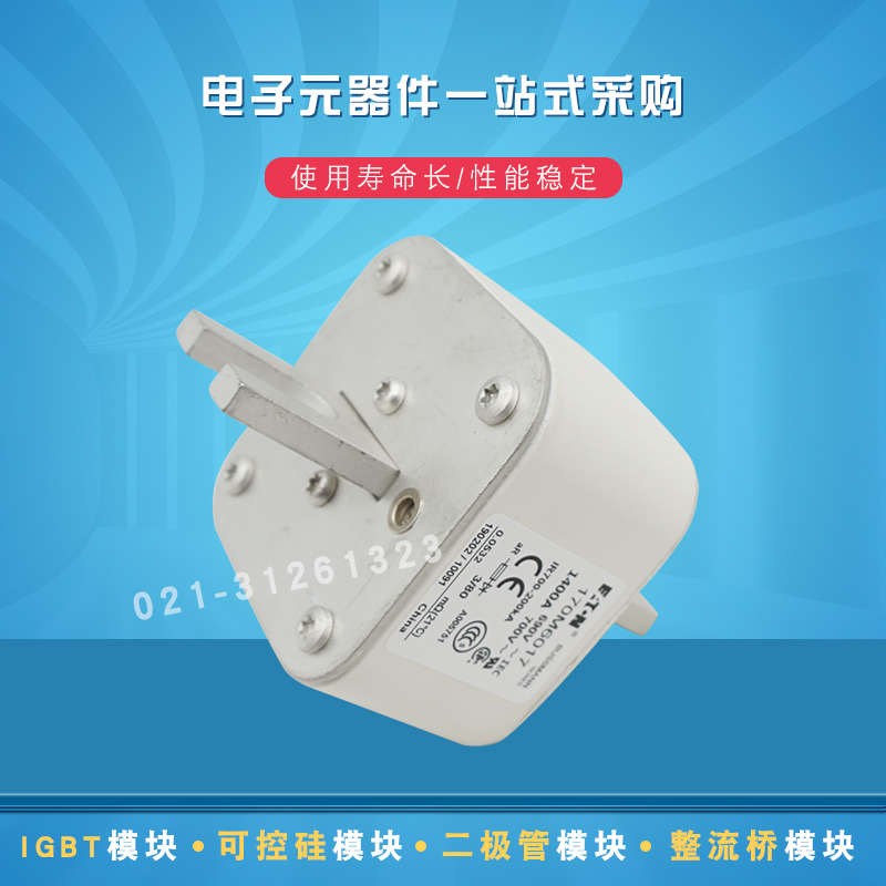 170M6017 170M6018 170M6019 170M6020 170M6021巴斯曼熔断器现