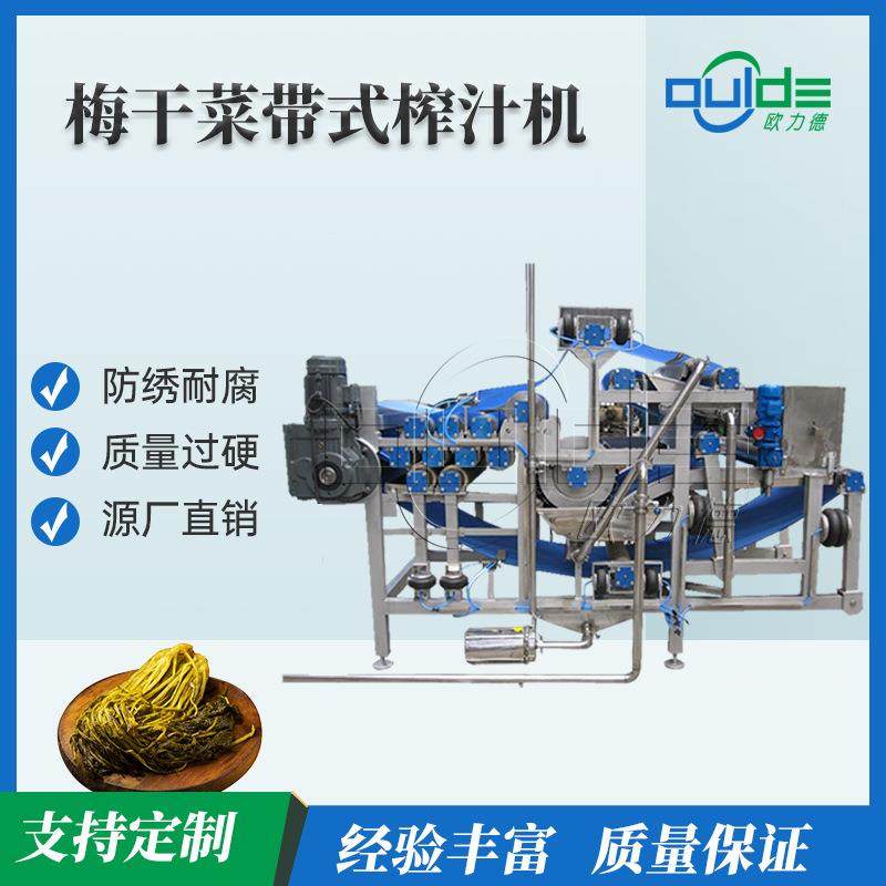 全自动工业果蔬榨汁机不锈钢蔬菜水果脱水酸菜梅干菜带式压榨机,清洗/食品/商业设备,其他食品加工设备,淘宝优惠券,粉丝福利购,淘宝优惠卷