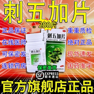 红绿灯刺五加片北京官方旗舰店正品中成药脾肾阳虚体虚片AH