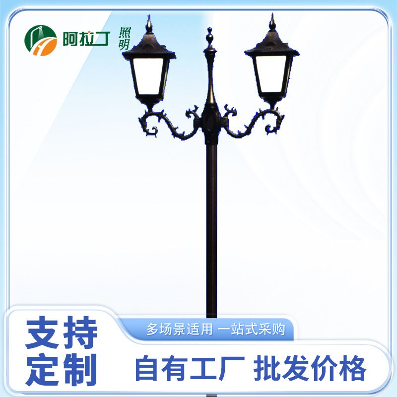 欧式双臂LED庭院灯亮化方案市政园林景区智能照明设计施工超亮