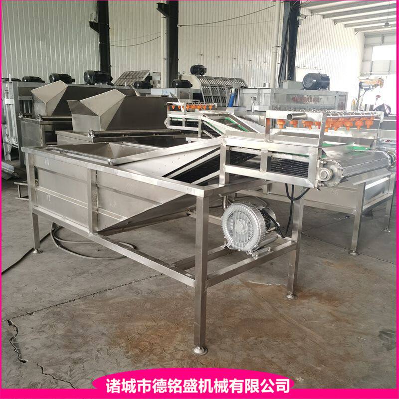 鸡爪化冻浸泡池 不锈钢蔬菜清洗设备 高压喷淋式果蔬气泡清洗机