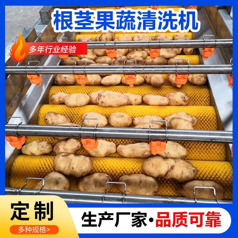 定制土豆全自动毛辊清洗设备莲藕毛刷清洗机果蔬贝壳类去泥沙