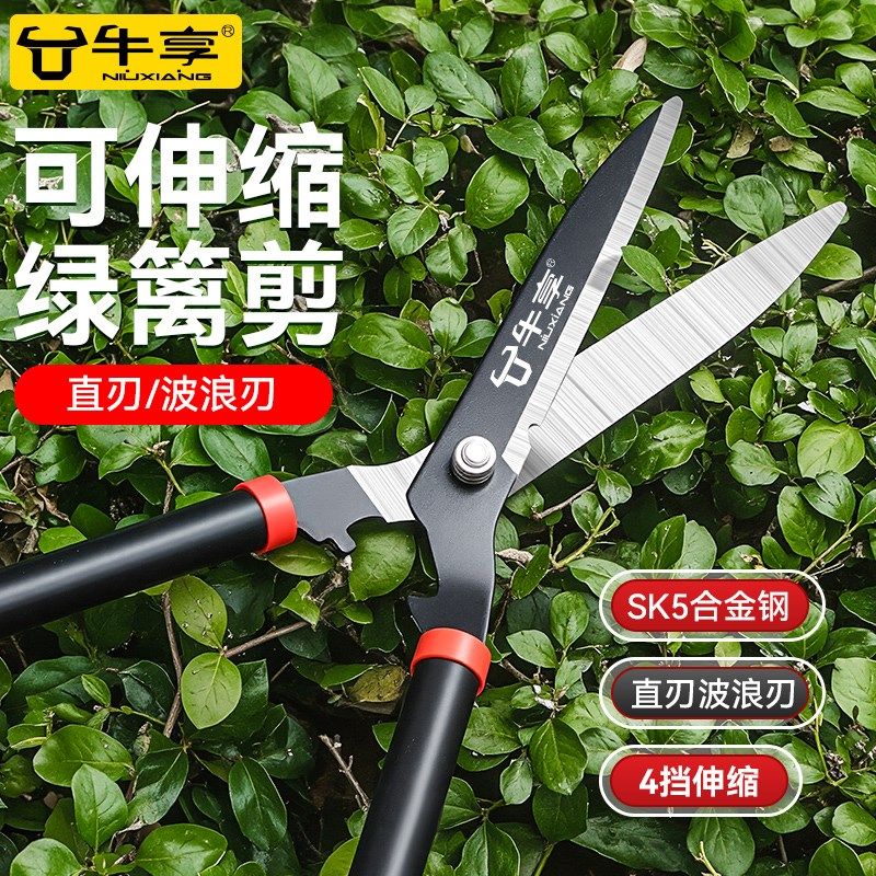 强力园艺剪家用草坪修剪花草剪可伸缩修剪树枝神器绿篱剪粗枝剪刀