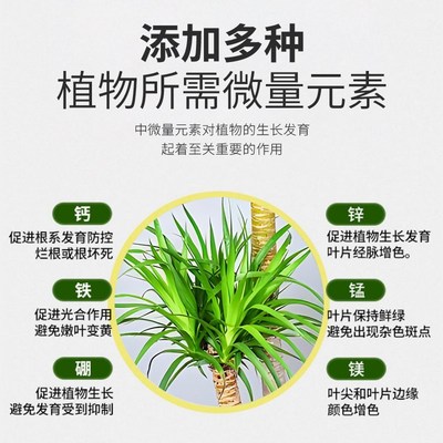 龙血树专用肥料龙须树浓缩营养液盆栽植物复合肥室内观叶绿植花肥