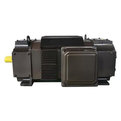 全封闭直流电动机ZBL4-100-32.2W1.5WIP44IC0040