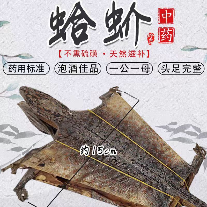 特大蛤蚧公母一对干货正品