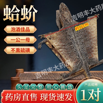 官方旗舰店正品大蛤蚧一对中药材