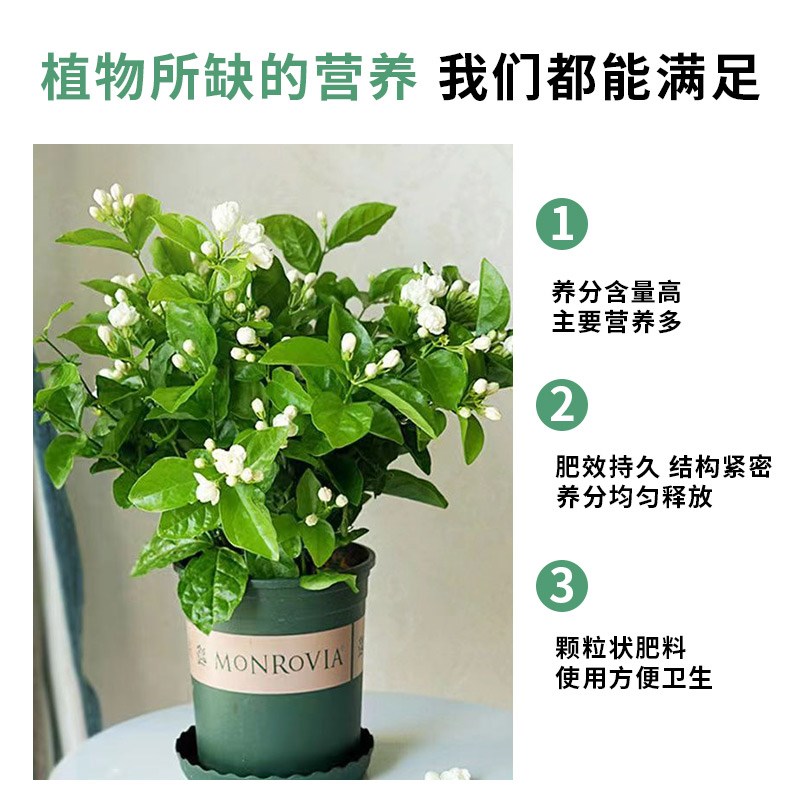 茉莉花专用肥养花种花家用有机肥料颗粒型四季通用盆栽绿植花卉